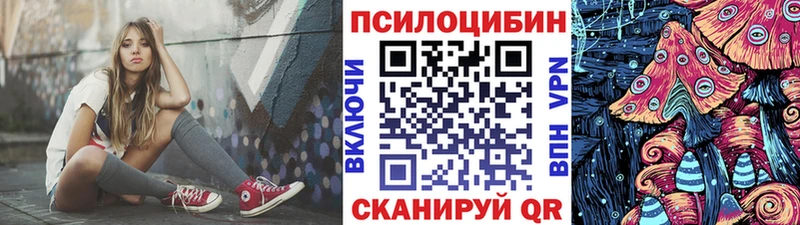Галлюциногенные грибы прущие грибы  Александровск-Сахалинский 